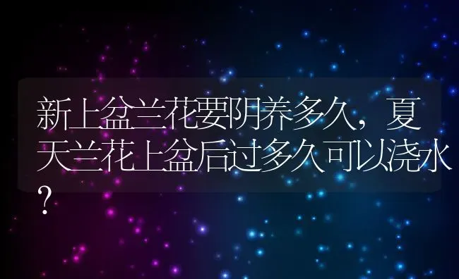 新上盆兰花要阴养多久,夏天兰花上盆后过多久可以浇水？ | 养殖学堂