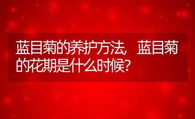 蓝目菊的养护方法,蓝目菊的花期是什么时候？ | 养殖科普