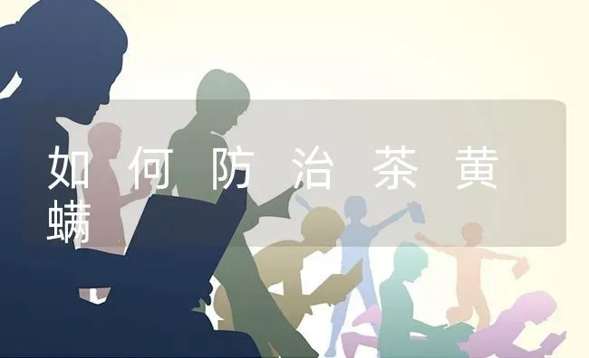 如 何 防 治 茶 黄 螨 | 养殖知识