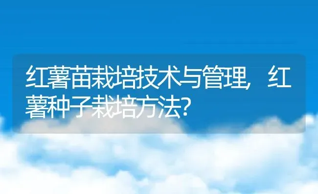 红薯苗栽培技术与管理,红薯种子栽培方法？ | 养殖科普