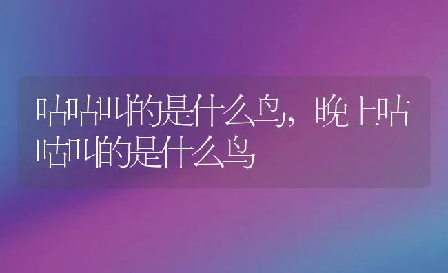 咕咕叫的是什么鸟,晚上咕咕叫的是什么鸟 | 养殖科普