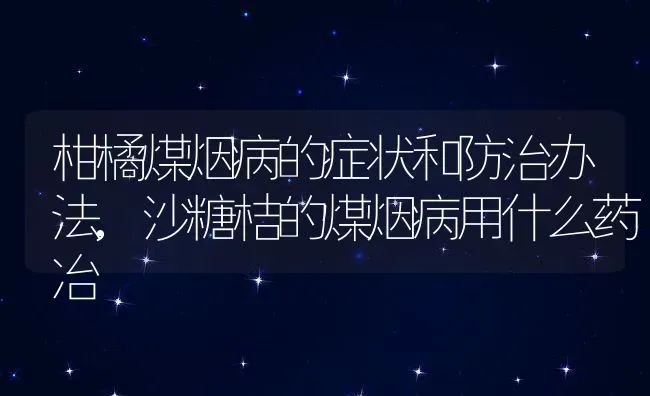 柑橘煤烟病的症状和防治办法,沙糖桔的煤烟病用什么药冶 | 养殖学堂