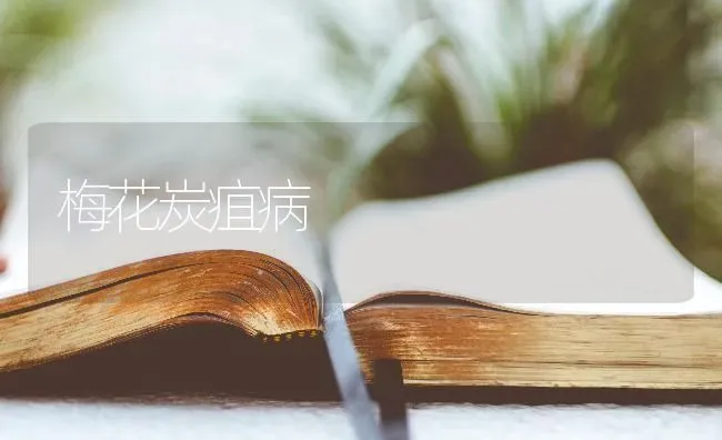 梅花炭疽病 | 养殖技术大全