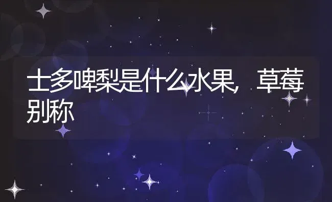 士多啤梨是什么水果,草莓别称 | 养殖学堂