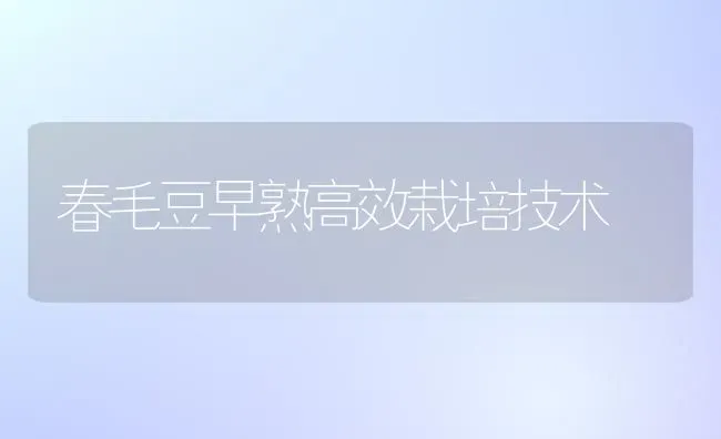 春毛豆早熟高效栽培技术 | 养殖技术大全