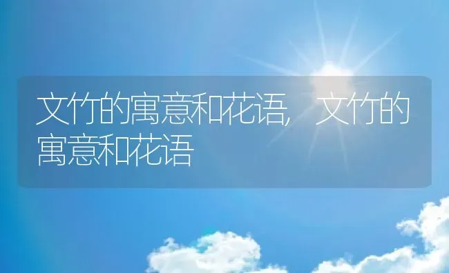 文竹的寓意和花语,文竹的寓意和花语 | 养殖学堂