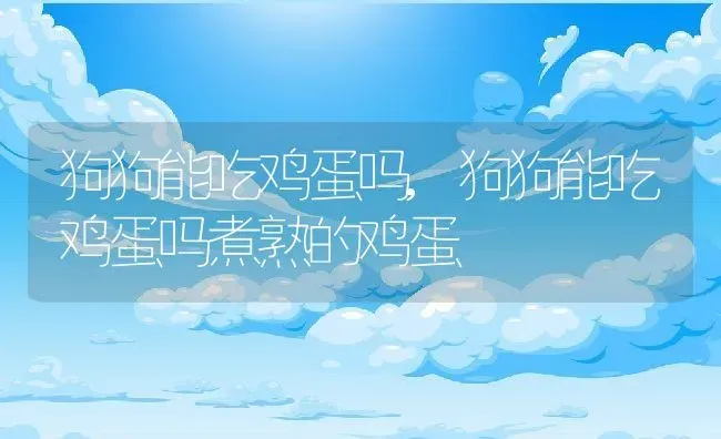狗狗能吃鸡蛋吗,狗狗能吃鸡蛋吗煮熟的鸡蛋 | 养殖科普