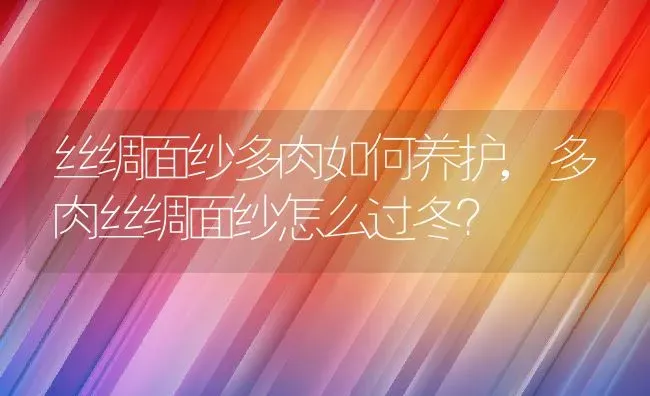 丝绸面纱多肉如何养护,多肉丝绸面纱怎么过冬？ | 养殖科普