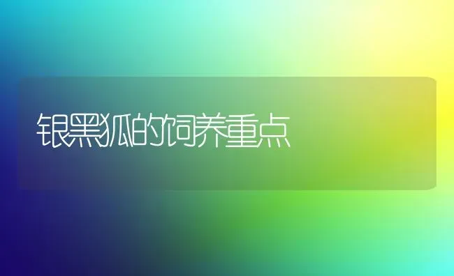 银黑狐的饲养重点 | 养殖知识