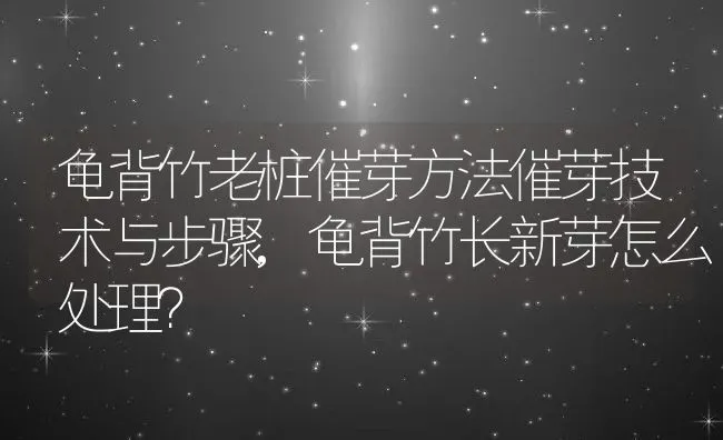 龟背竹老桩催芽方法催芽技术与步骤,龟背竹长新芽怎么处理？ | 养殖科普