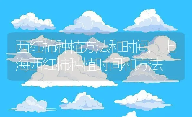 西红柿种植方法和时间,上海西红柿种植时间和方法 | 养殖学堂