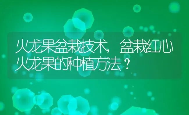 火龙果盆栽技术,盆栽红心火龙果的种植方法？ | 养殖科普