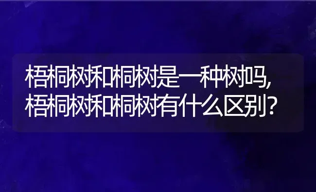 梧桐树和桐树是一种树吗,梧桐树和桐树有什么区别？ | 养殖科普