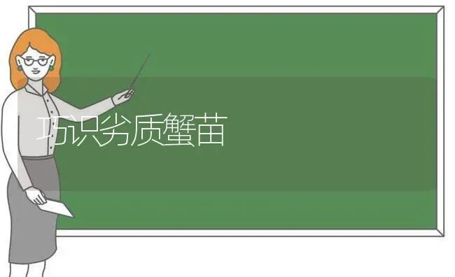 巧识劣质蟹苗 | 养殖技术大全