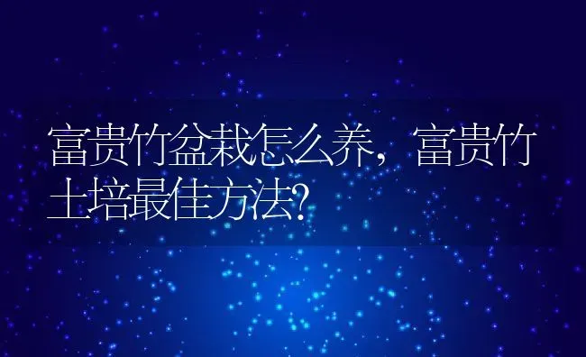 富贵竹盆栽怎么养,富贵竹土培最佳方法？ | 养殖学堂