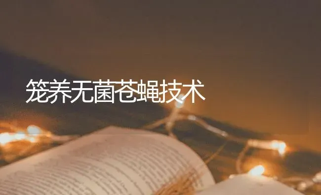 笼养无菌苍蝇技术 | 养殖技术大全