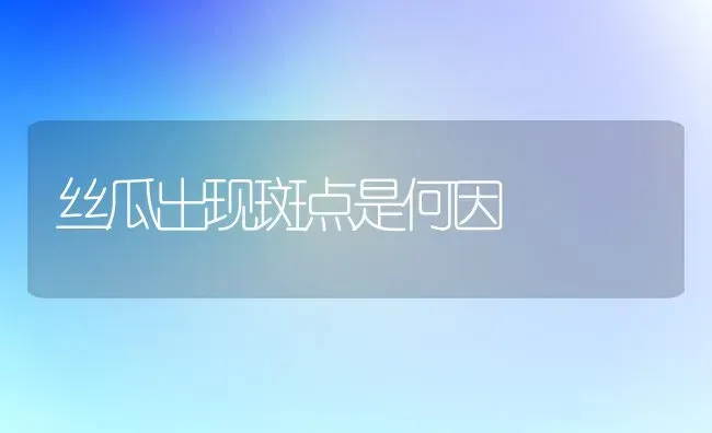 丝瓜出现斑点是何因 | 养殖知识