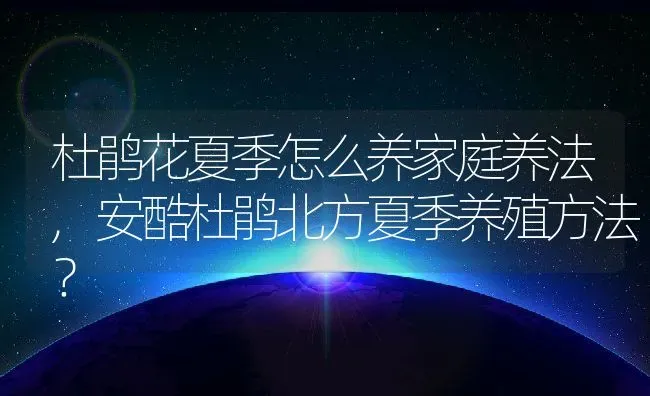 杜鹃花夏季怎么养家庭养法,安酷杜鹃北方夏季养殖方法？ | 养殖科普