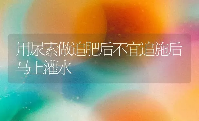 用尿素做追肥后不宜追施后马上灌水 | 养殖知识