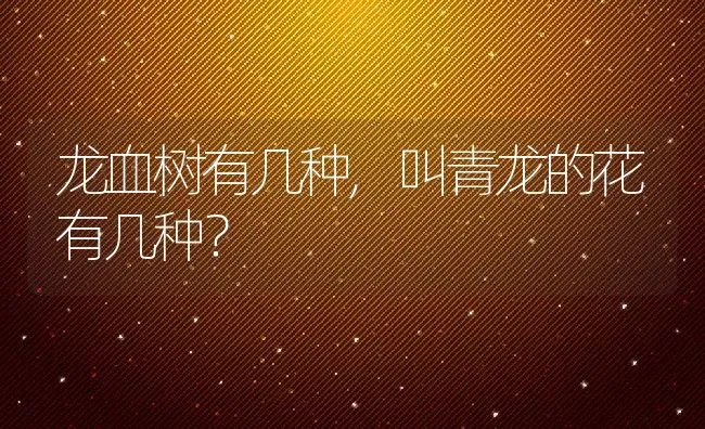 龙血树有几种,叫青龙的花有几种？ | 养殖科普