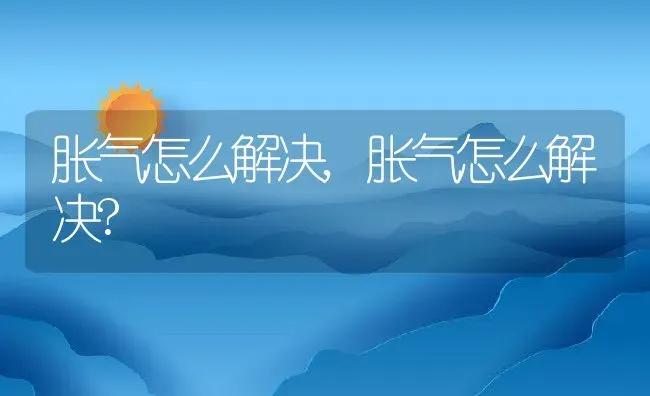 胀气怎么解决,胀气怎么解决? | 养殖资料