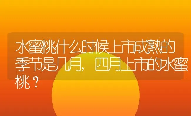 水蜜桃什么时候上市成熟的季节是几月,四月上市的水蜜桃？ | 养殖科普