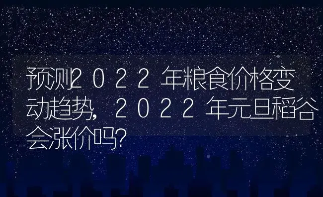 预测2022年粮食价格变动趋势,2022年元旦稻谷会涨价吗？ | 养殖科普