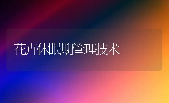 花卉休眠期管理技术 | 养殖技术大全