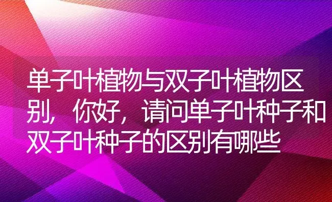 单子叶植物与双子叶植物区别,你好，请问单子叶种子和双子叶种子的区别有哪些 | 养殖学堂