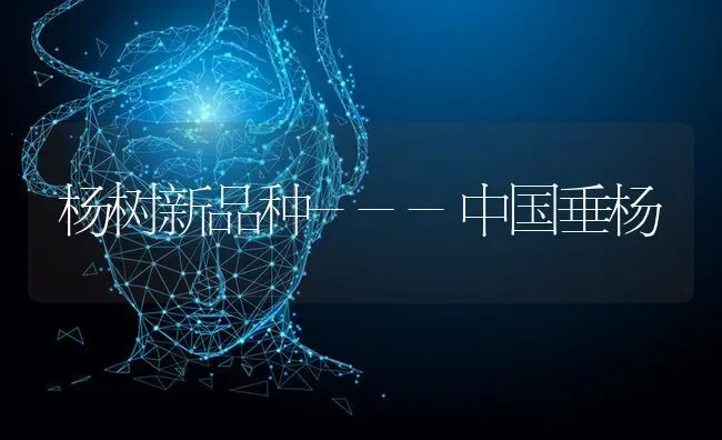杨树新品种---中国垂杨 | 养殖技术大全