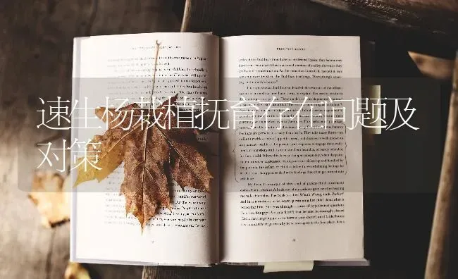 速生杨栽植抚育存在问题及对策 | 养殖知识