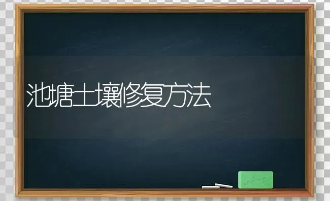 池塘土壤修复方法 | 养殖知识