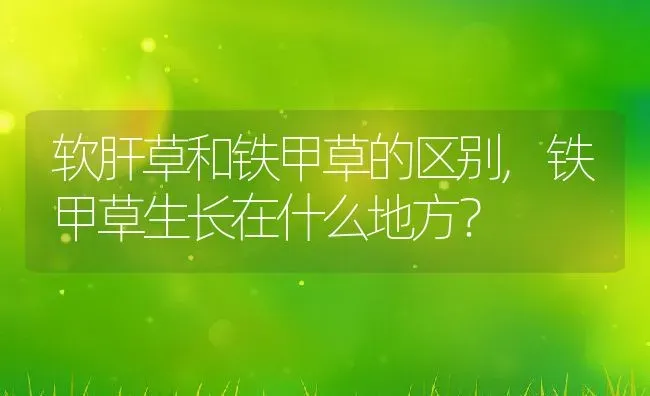 软肝草和铁甲草的区别,铁甲草生长在什么地方？ | 养殖科普