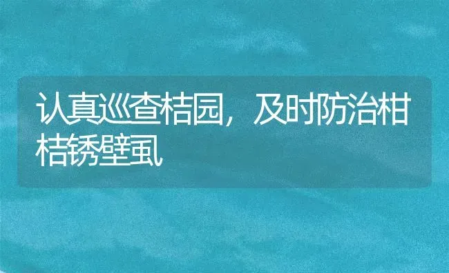 认真巡查桔园,及时防治柑桔锈壁虱 | 养殖知识