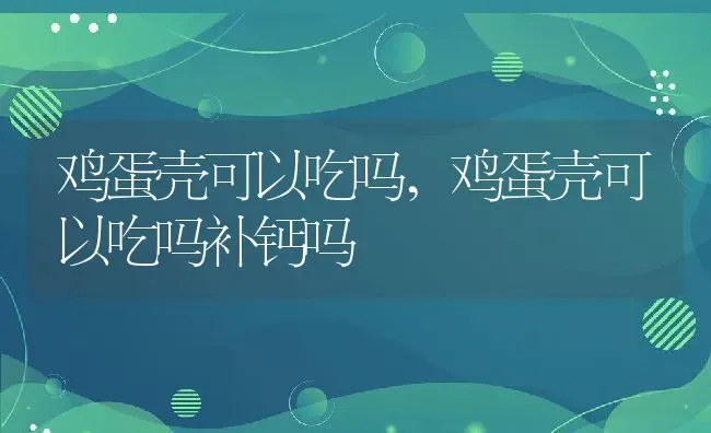 鸡蛋壳可以吃吗,鸡蛋壳可以吃吗补钙吗 | 养殖科普