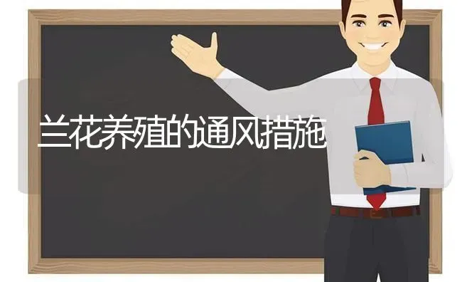 兰花养殖的通风措施 | 养殖知识