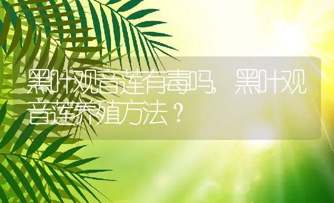 黑叶观音莲有毒吗,黑叶观音莲养殖方法？ | 养殖科普