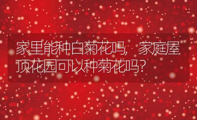 鸽子冬天怕冷吗,鸽子冬天怕冷吗会冻死吗 | 养殖科普