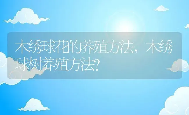 木绣球花的养殖方法,木绣球树养殖方法？ | 养殖科普