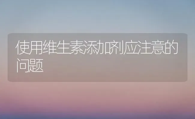 使用维生素添加剂应注意的问题 | 养殖技术大全