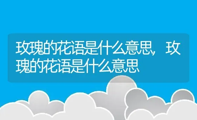 玫瑰的花语是什么意思,玫瑰的花语是什么意思 | 养殖科普
