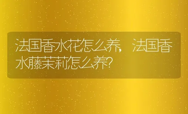 法国香水花怎么养,法国香水藤茉莉怎么养？ | 养殖科普