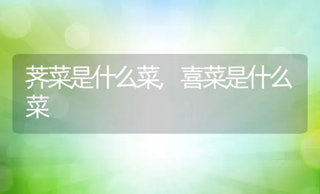 荠菜是什么菜,喜菜是什么菜 | 养殖学堂