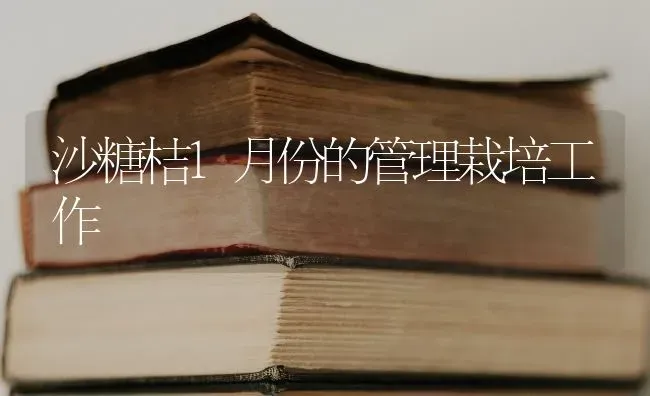 沙糖桔1月份的管理栽培工作 | 养殖知识