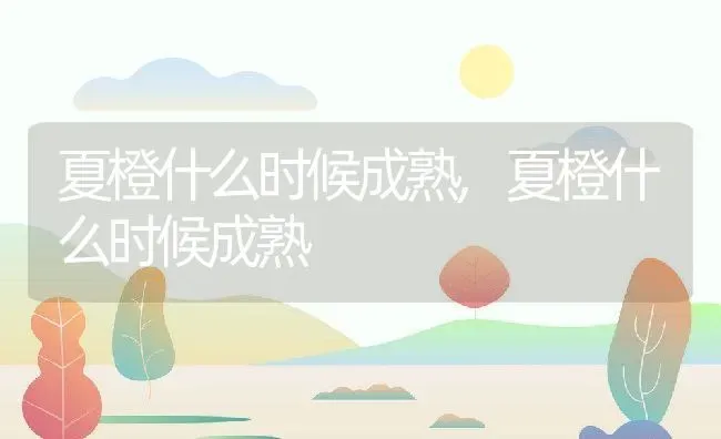 夏橙什么时候成熟,夏橙什么时候成熟 | 养殖科普