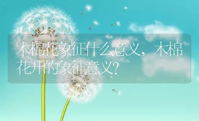 木棉花象征什么意义,木棉花开的象征意义？ | 养殖科普