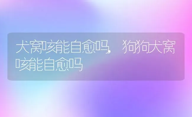 犬窝咳能自愈吗,狗狗犬窝咳能自愈吗 | 养殖资料