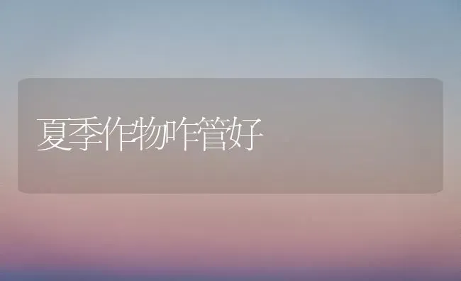 夏季作物咋管好 | 养殖知识