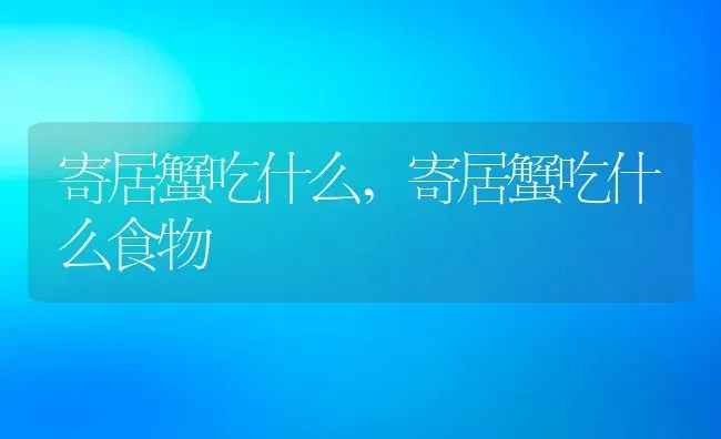 寄居蟹吃什么,寄居蟹吃什么食物 | 养殖科普