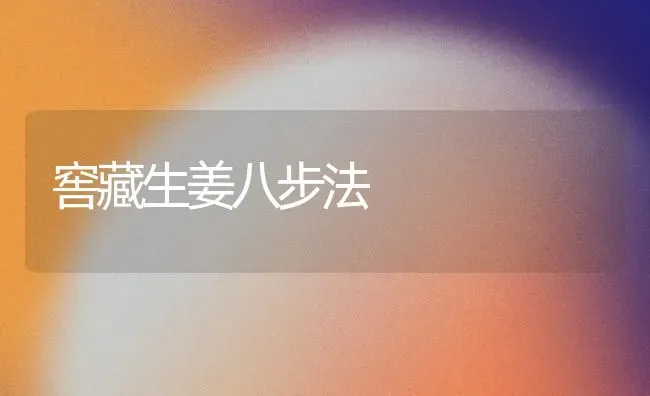 窖藏生姜八步法 | 养殖技术大全